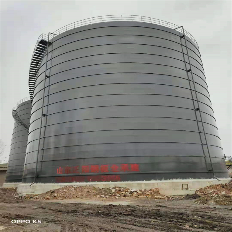 新政镇3万吨大型钢板库